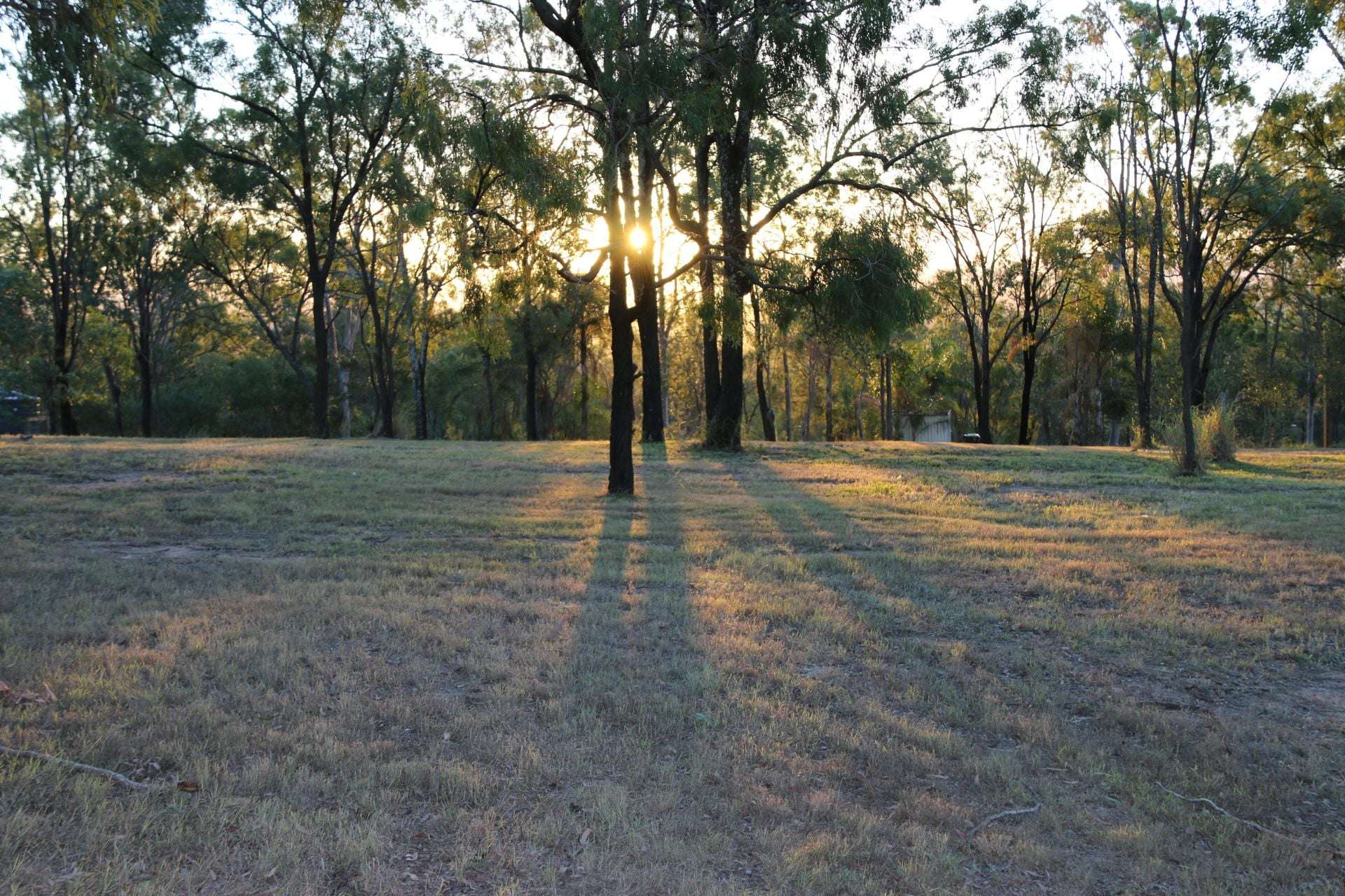 14 Kingfisher Court, Regency Downs For Sale by Farmbuy.com - image 1