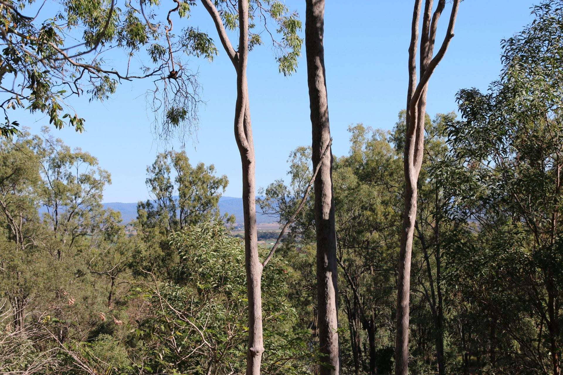 14 Kingfisher Court, Regency Downs For Sale by Farmbuy.com - image 5