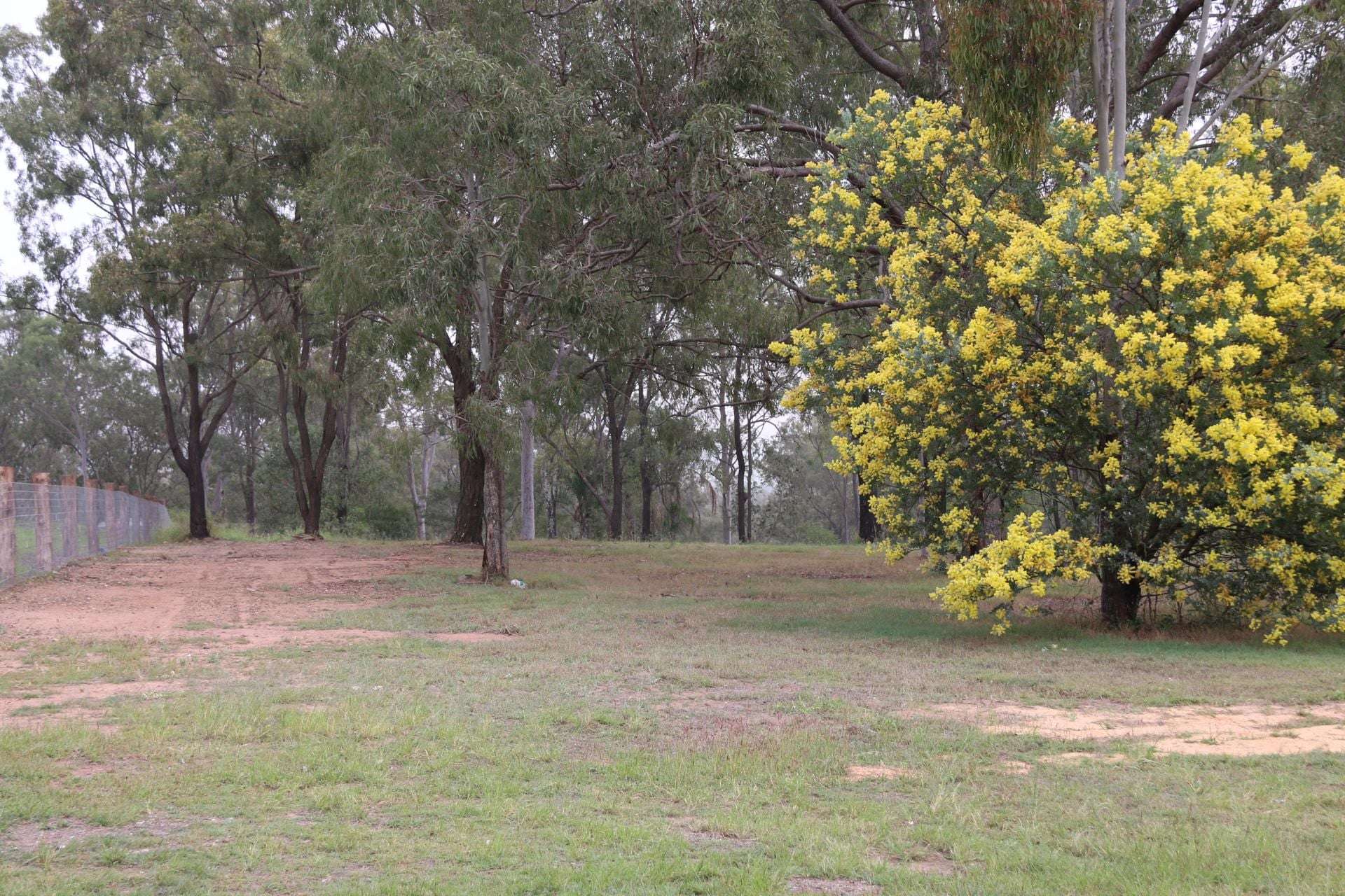 14 Kingfisher Court, Regency Downs For Sale by Farmbuy.com - image 3