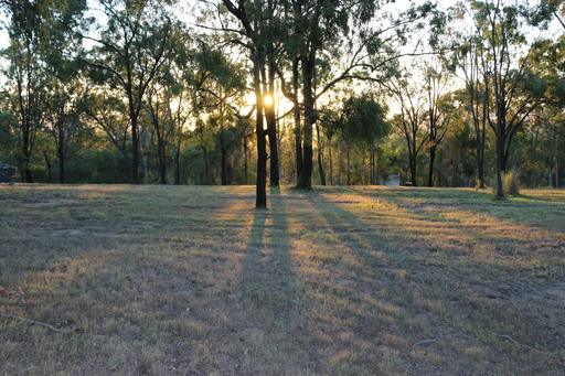 Farm For Sale - QLD - Regency Downs - 4341 - Build Your Queensland Dream: 4243m² Acreage in the Lockyer Valley Growth Corridor! 