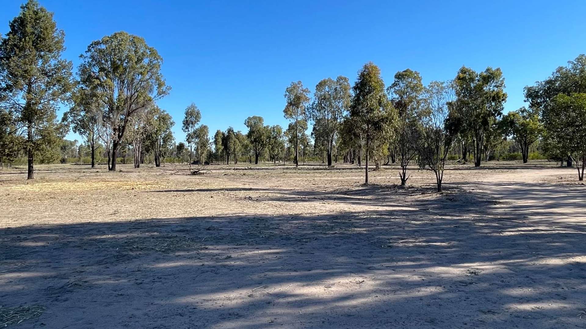 289 Myra Road, Tara For Sale by Farmbuy.com - image 29