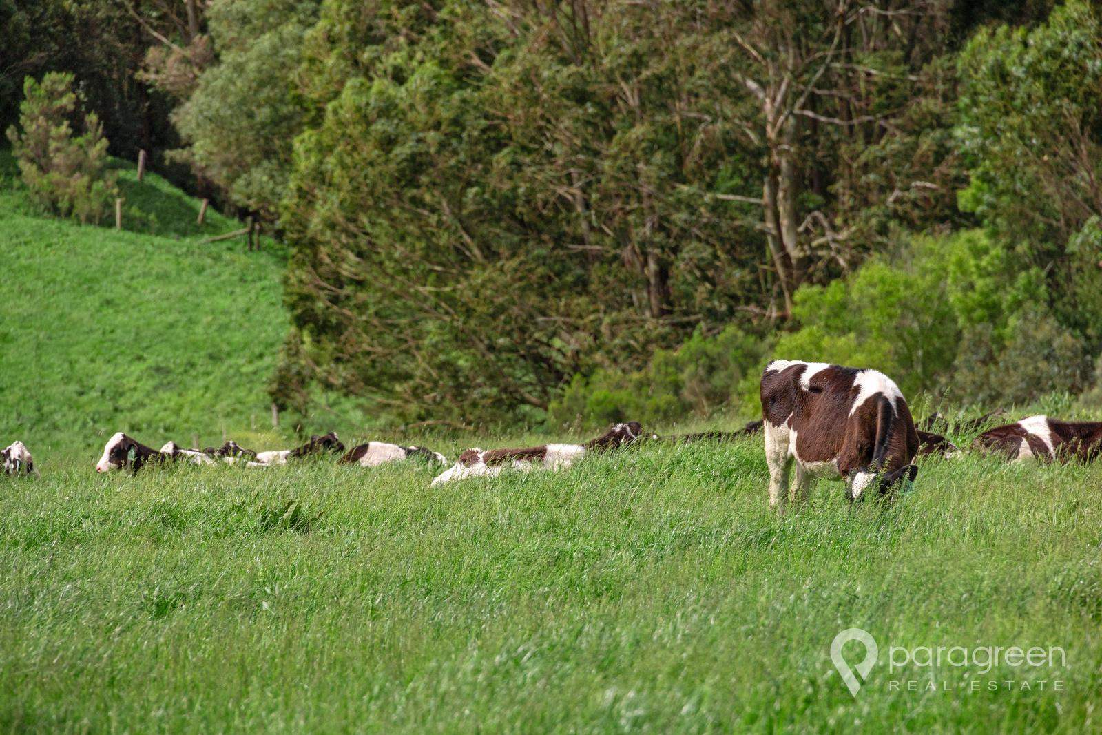 975 Falls Road, Fish Creek For Sale by Farmbuy.com - image 18