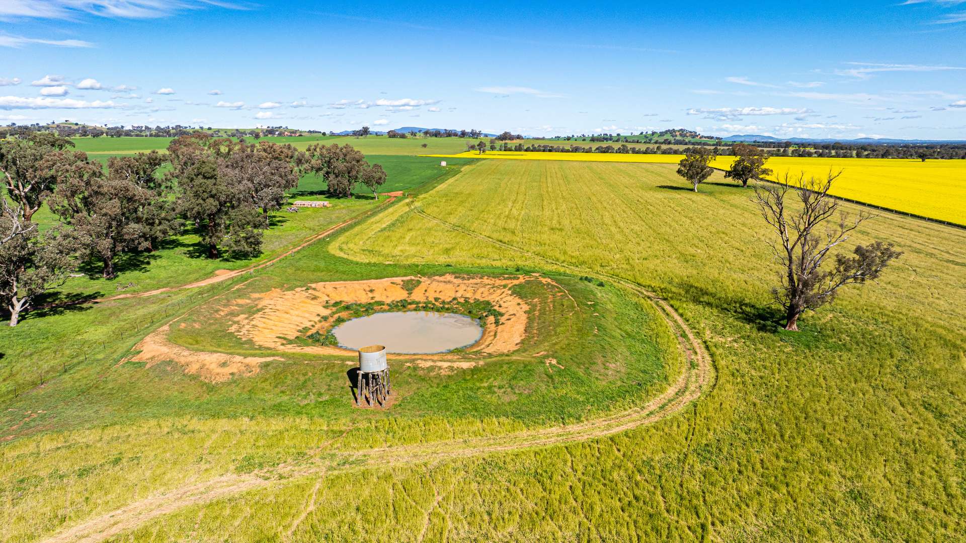 312 Merri Meric Road, Henty For Sale by Farmbuy.com - image 11