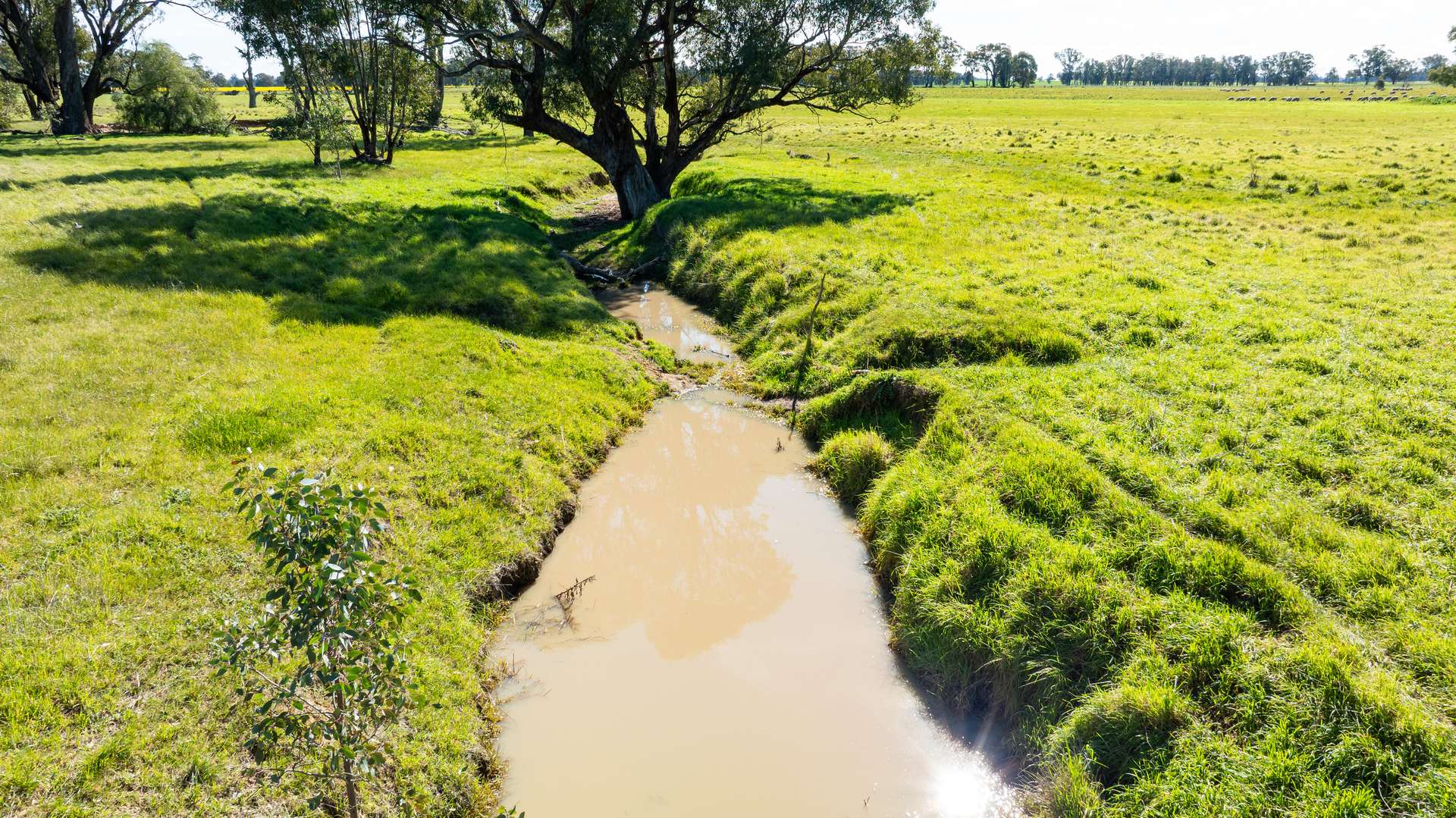 312 Merri Meric Road, Henty For Sale by Farmbuy.com - image 13
