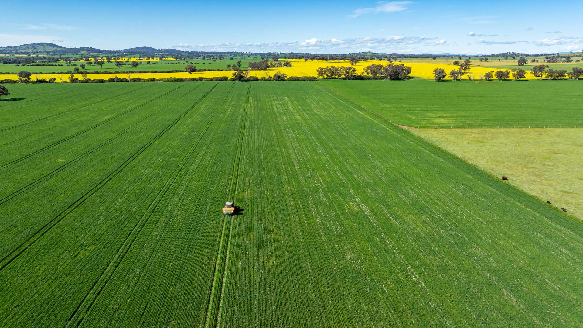 312 Merri Meric Road, Henty For Sale by Farmbuy.com - image 9