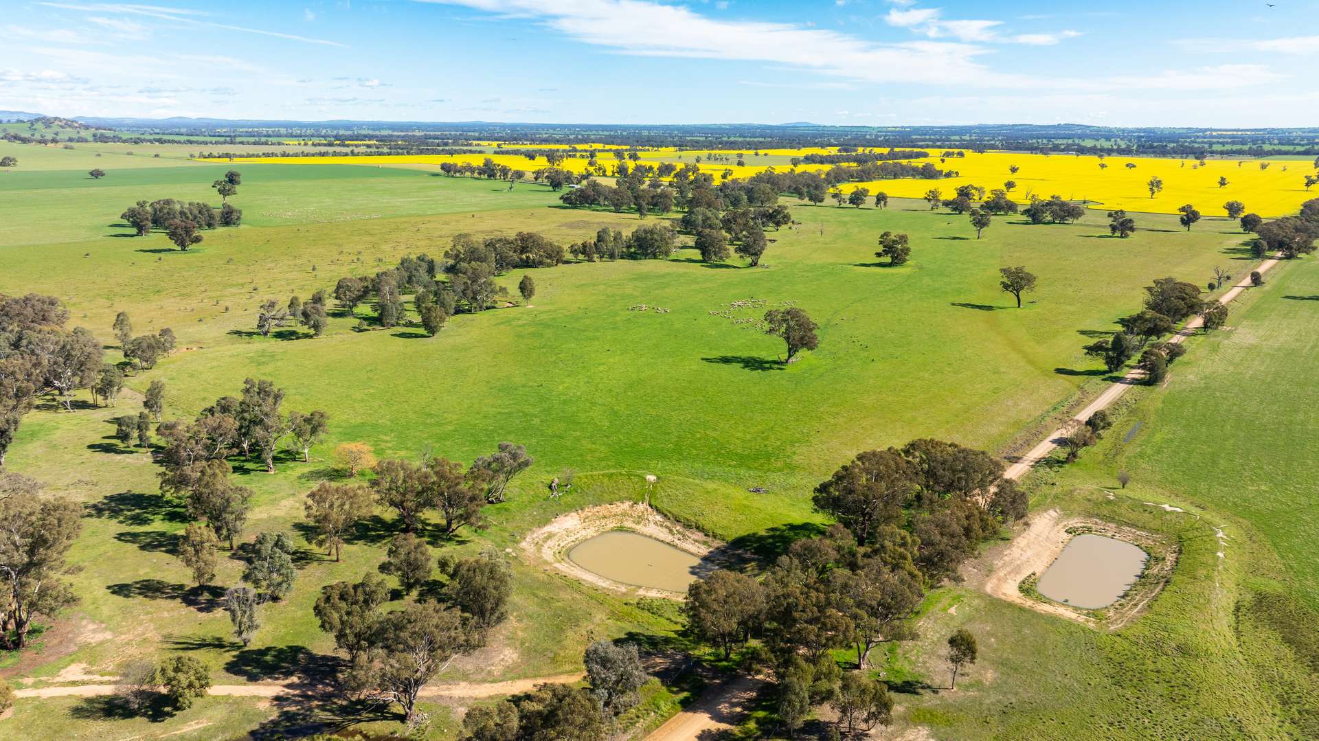 312 Merri Meric Road, Henty For Sale by Farmbuy.com - image 10
