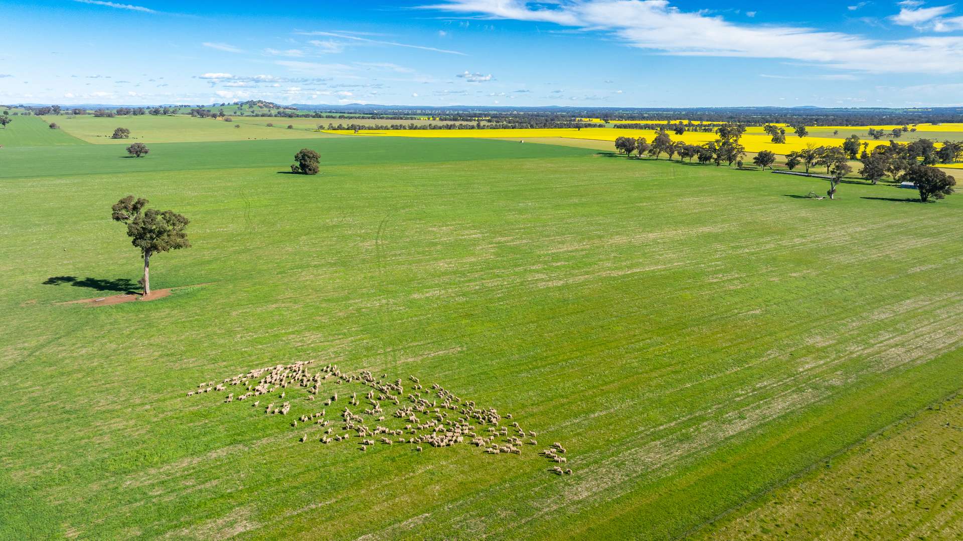 312 Merri Meric Road, Henty For Sale by Farmbuy.com - image 18