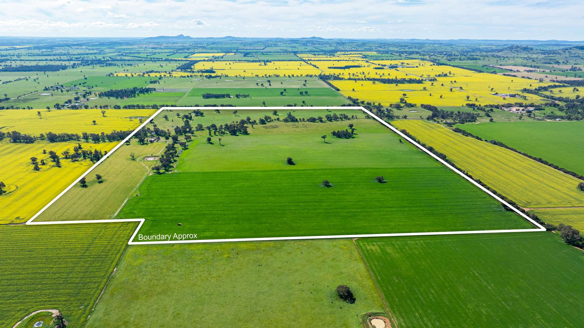 312 Merri Meric Road, Henty For Sale by Farmbuy.com - image 6