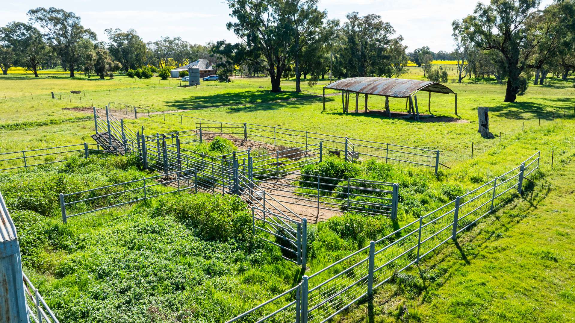 312 Merri Meric Road, Henty For Sale by Farmbuy.com - image 20