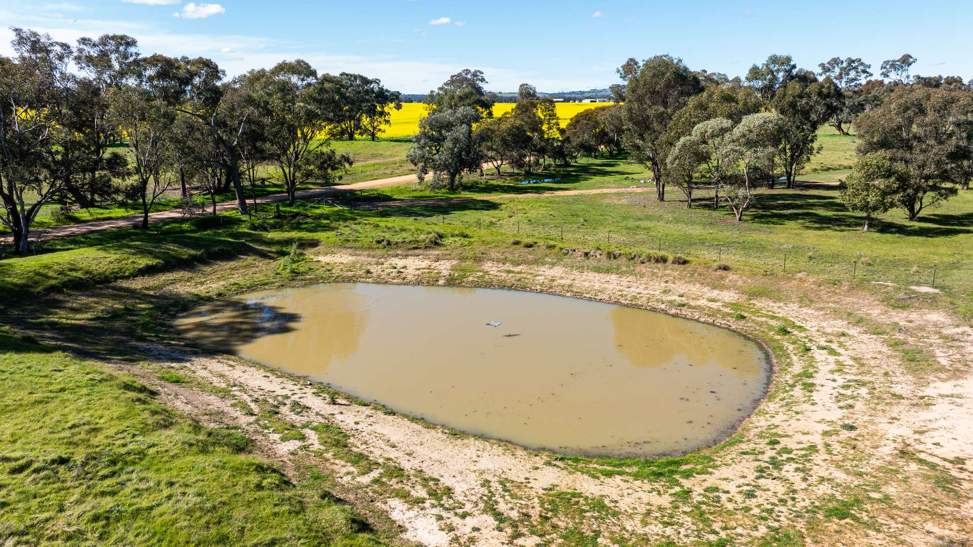 312 Merri Meric Road, Henty For Sale by Farmbuy.com - image 12