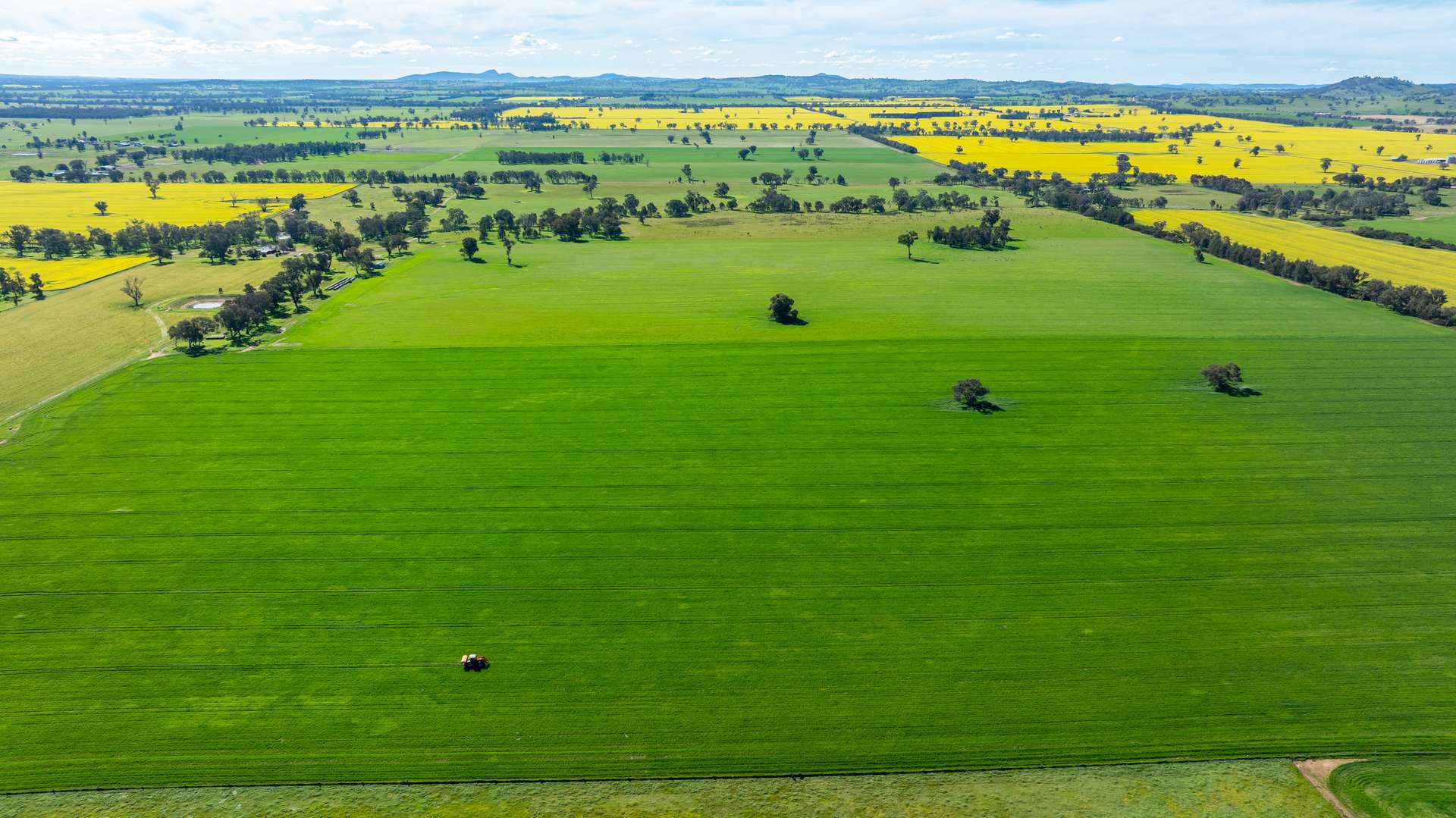 312 Merri Meric Road, Henty For Sale by Farmbuy.com - image 8
