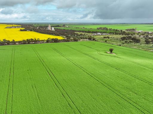 Farm For Sale - VIC - Panitya - 3512 - PRIME CROPPING PARCELS IN HIGHLY REGARDED VICTORIAN MALLEE REGION 