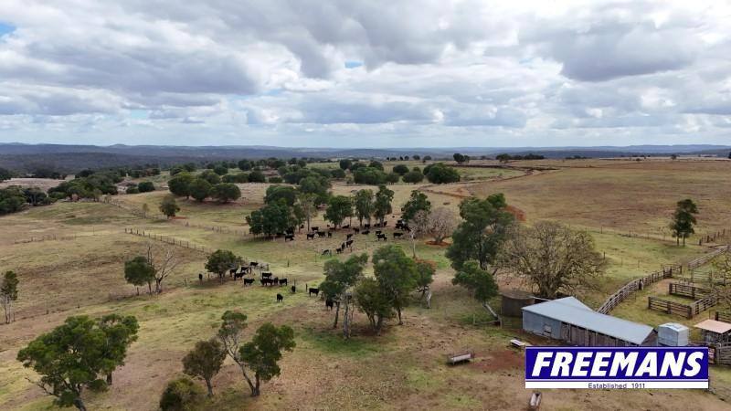 590 Mannuem Road, Mannuem For Sale by Farmbuy.com - image 24