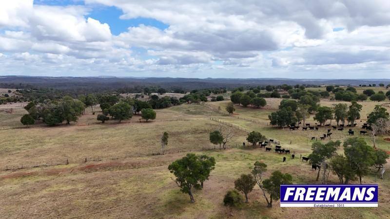 590 Mannuem Road, Mannuem For Sale by Farmbuy.com - image 33