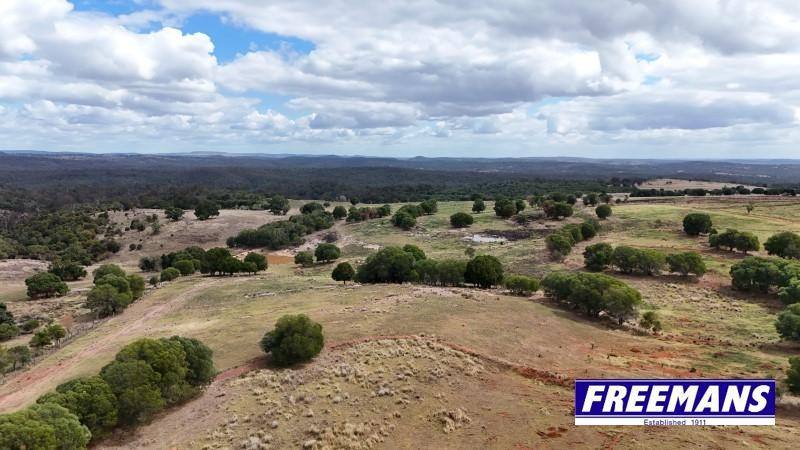 590 Mannuem Road, Mannuem For Sale by Farmbuy.com - image 28