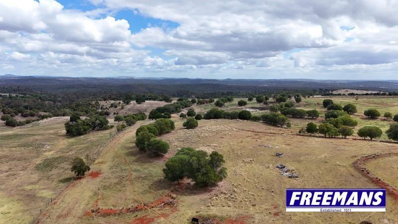590 Mannuem Road, Mannuem For Sale by Farmbuy.com - image 29
