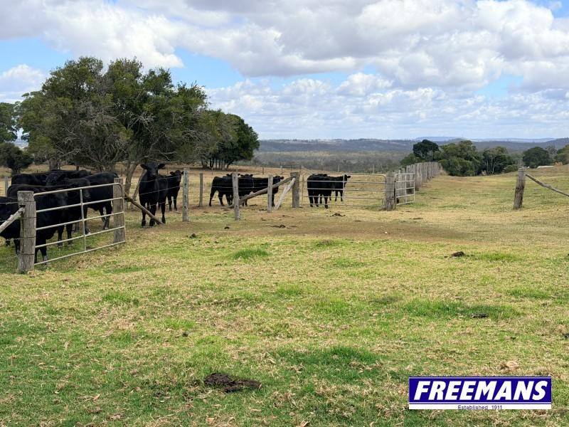 590 Mannuem Road, Mannuem For Sale by Farmbuy.com - image 19
