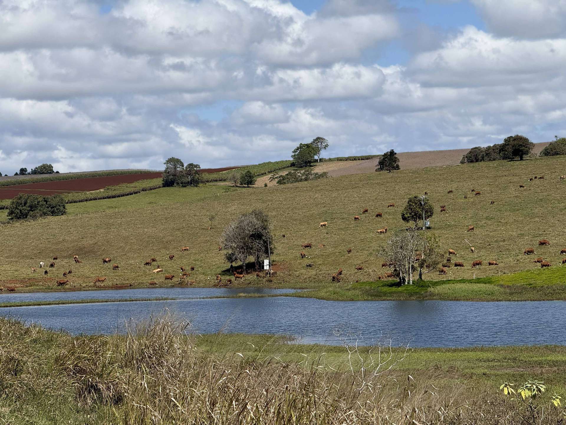 Yungaburra For Sale by Farmbuy.com - image 13