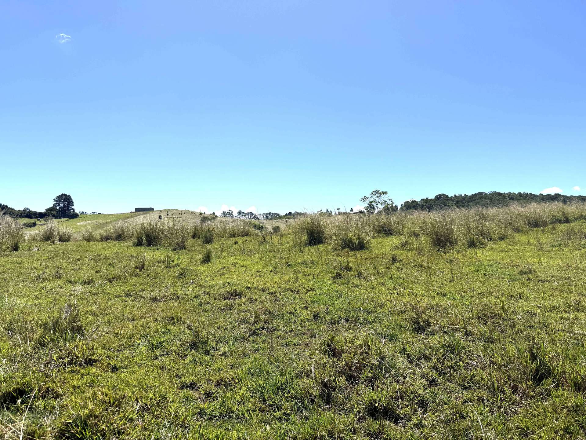 Yungaburra For Sale by Farmbuy.com - image 11