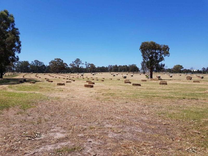 31 Woodcote Lane, Munro For Sale by Farmbuy.com - image 31