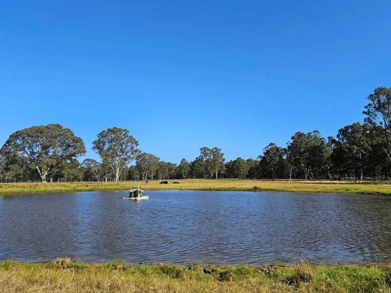 31 Woodcote Lane, Munro For Sale by Farmbuy.com - image 27