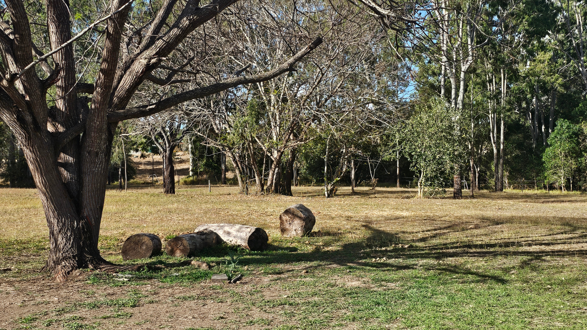 175 Old Nanango Road, Gayndah For Sale by Farmbuy.com - image 21