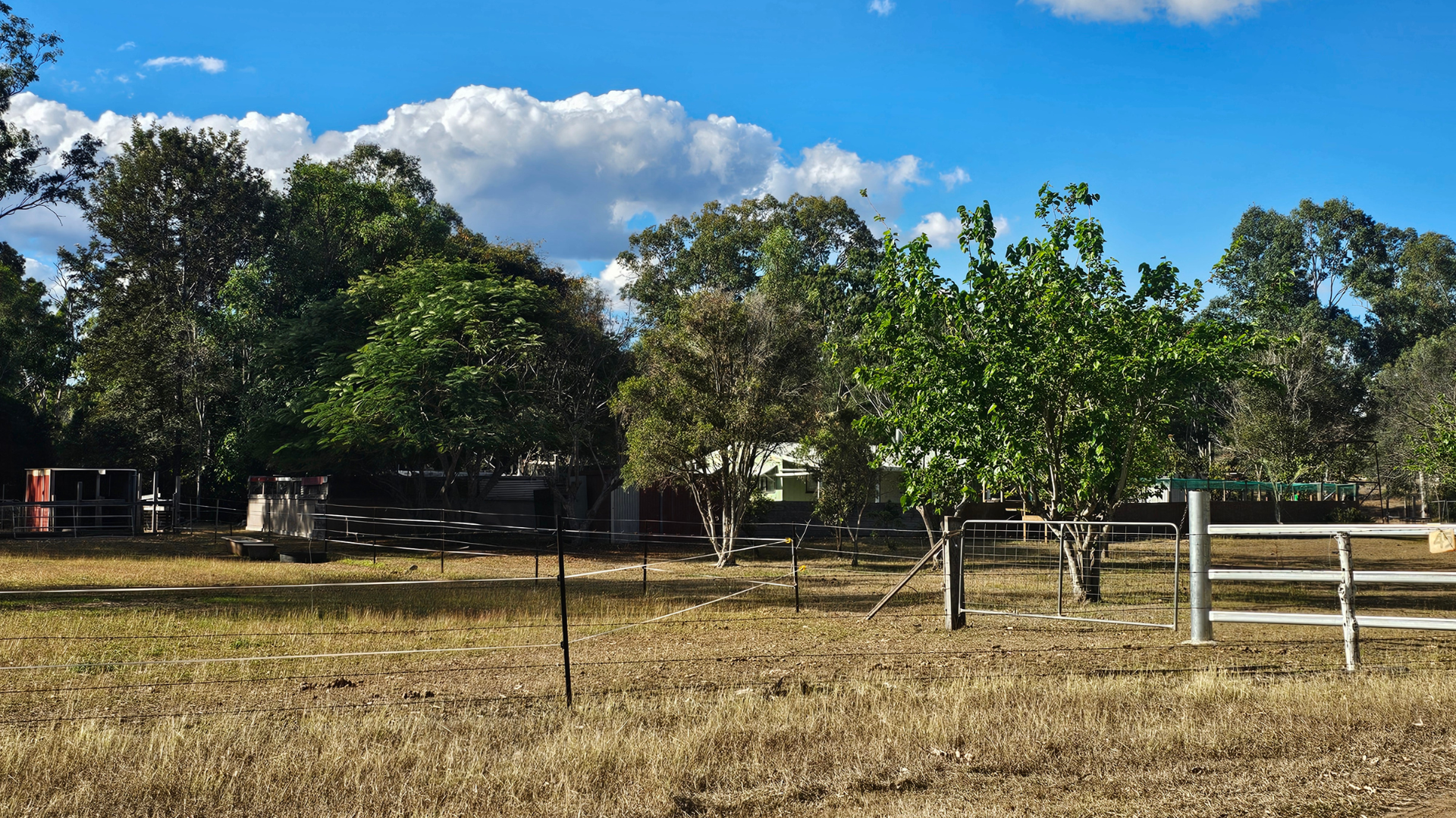 175 Old Nanango Road, Gayndah For Sale by Farmbuy.com - image 20