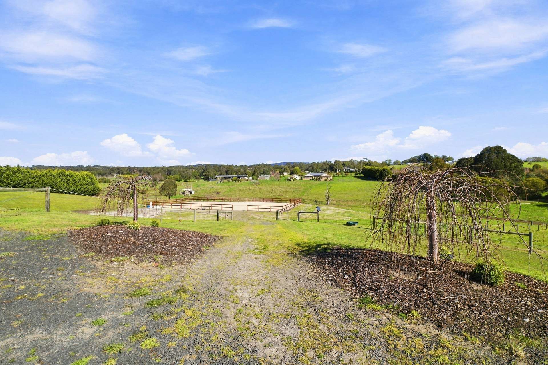 5 Glen Place, Hazelwood North For Sale by Farmbuy.com - image 22