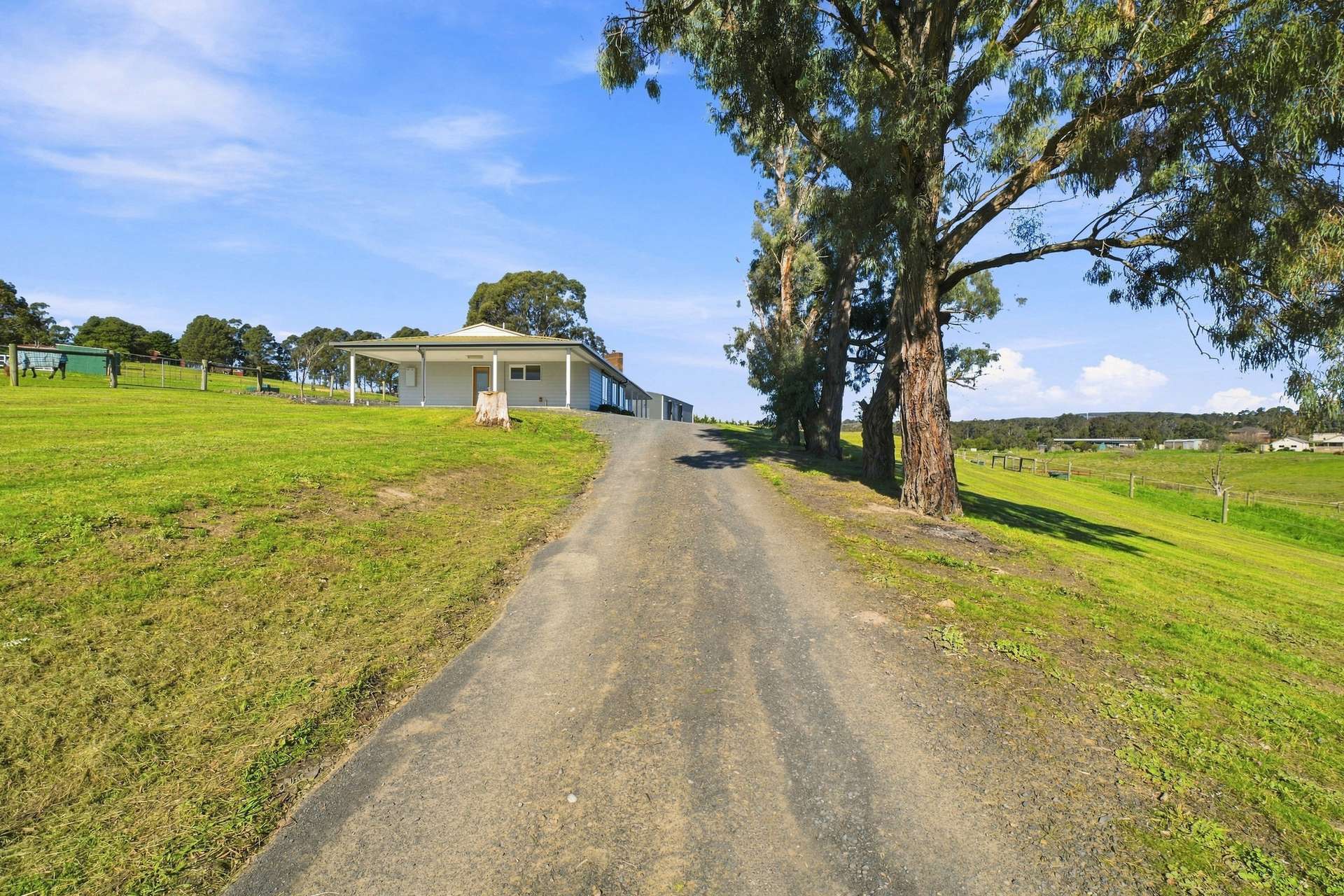5 Glen Place, Hazelwood North For Sale by Farmbuy.com - image 25