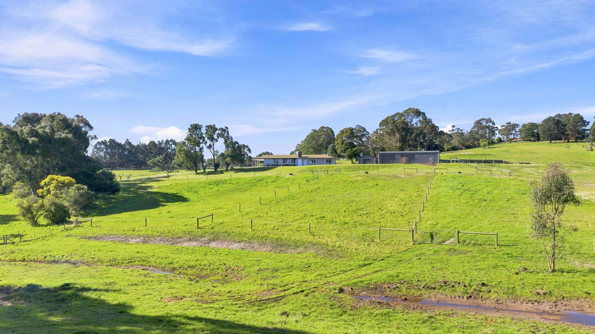 5 Glen Place, Hazelwood North For Sale by Farmbuy.com - image 27