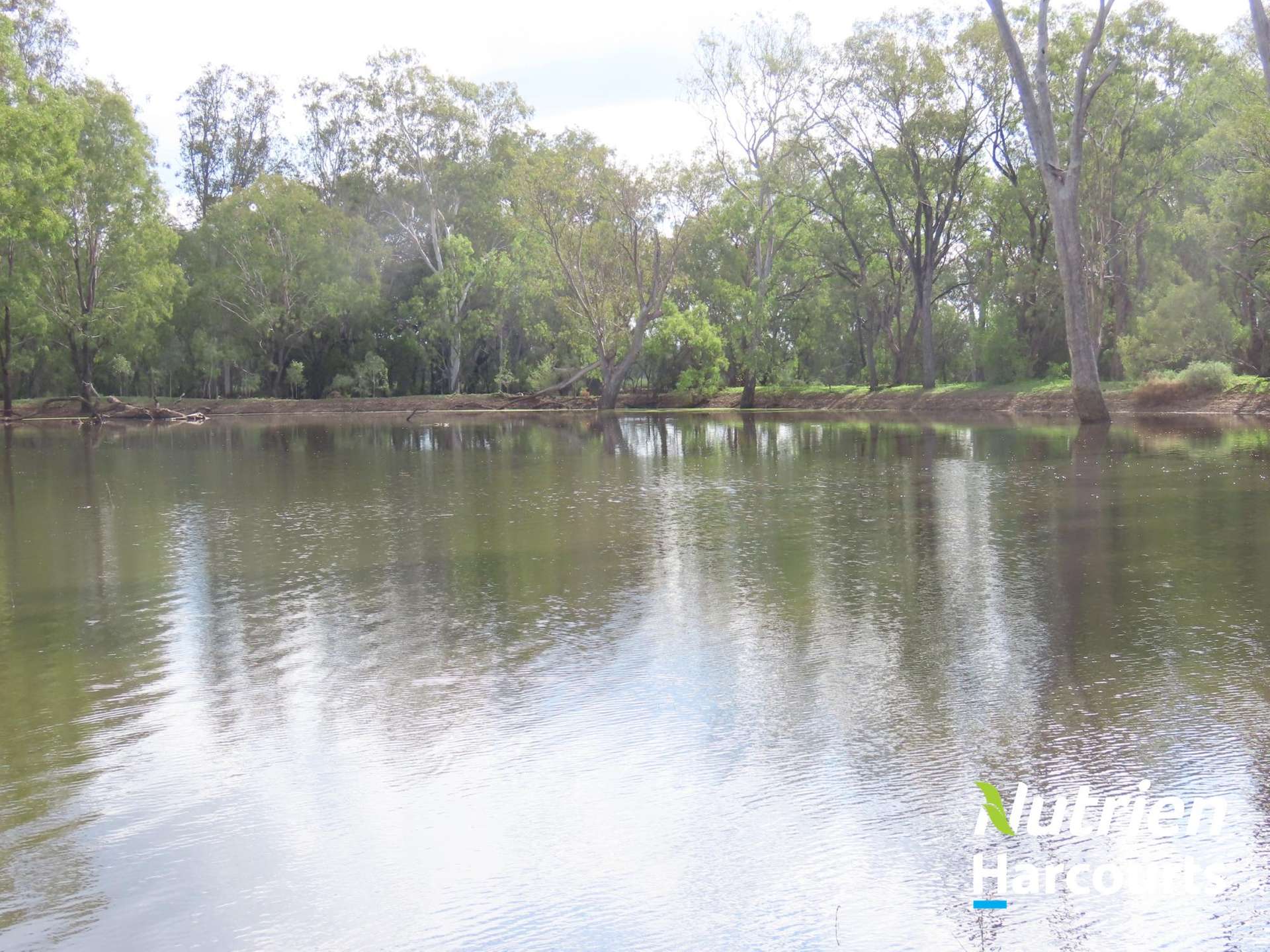 Hillcrest Mullers Road, Chinchilla For Sale by Farmbuy.com - image 34