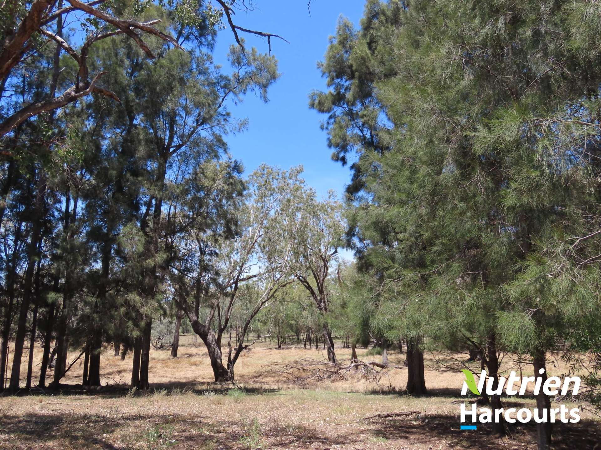 Hillcrest Mullers Road, Chinchilla For Sale by Farmbuy.com - image 30