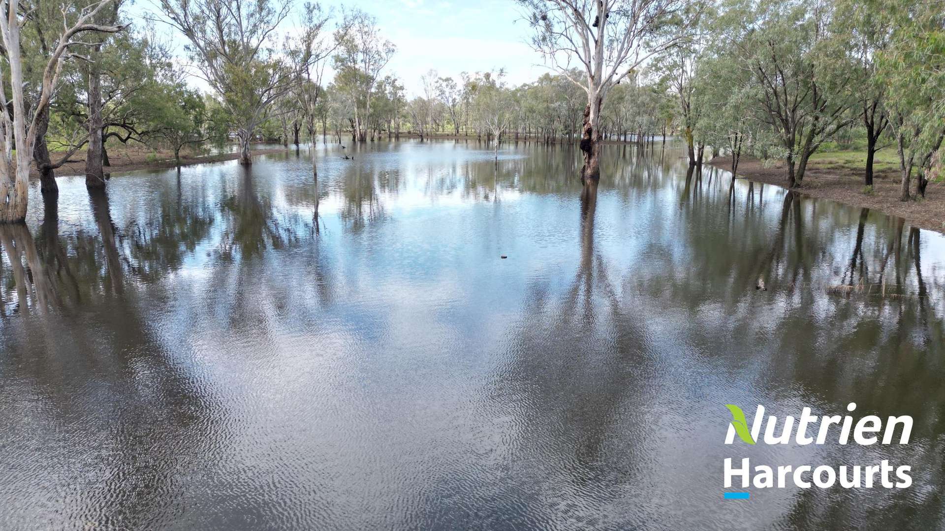 Hillcrest Mullers Road, Chinchilla For Sale by Farmbuy.com - image 29