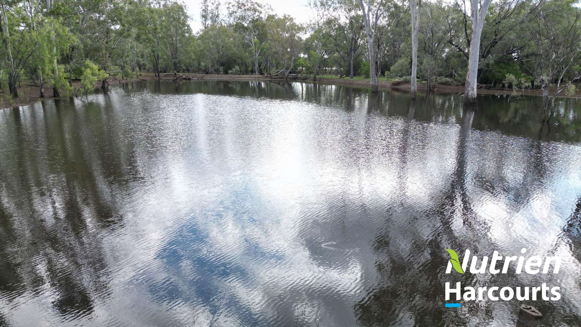Hillcrest Mullers Road, Chinchilla For Sale by Farmbuy.com - image 2