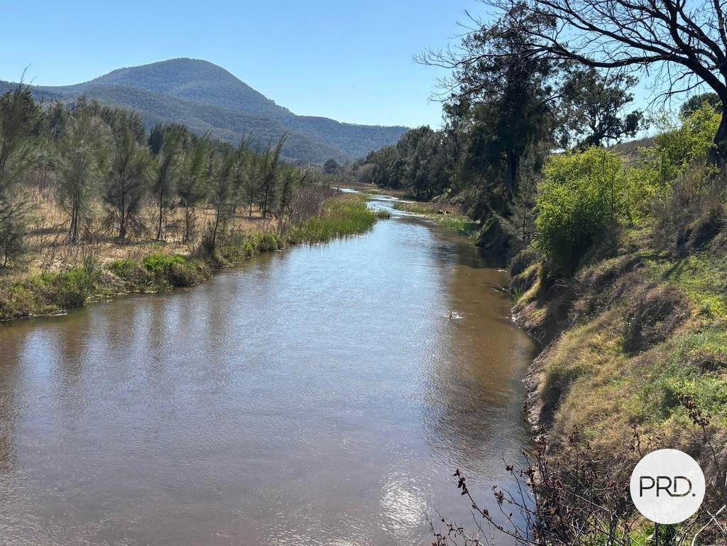 560 Mt Dangar Road, Baerami NSW 2333