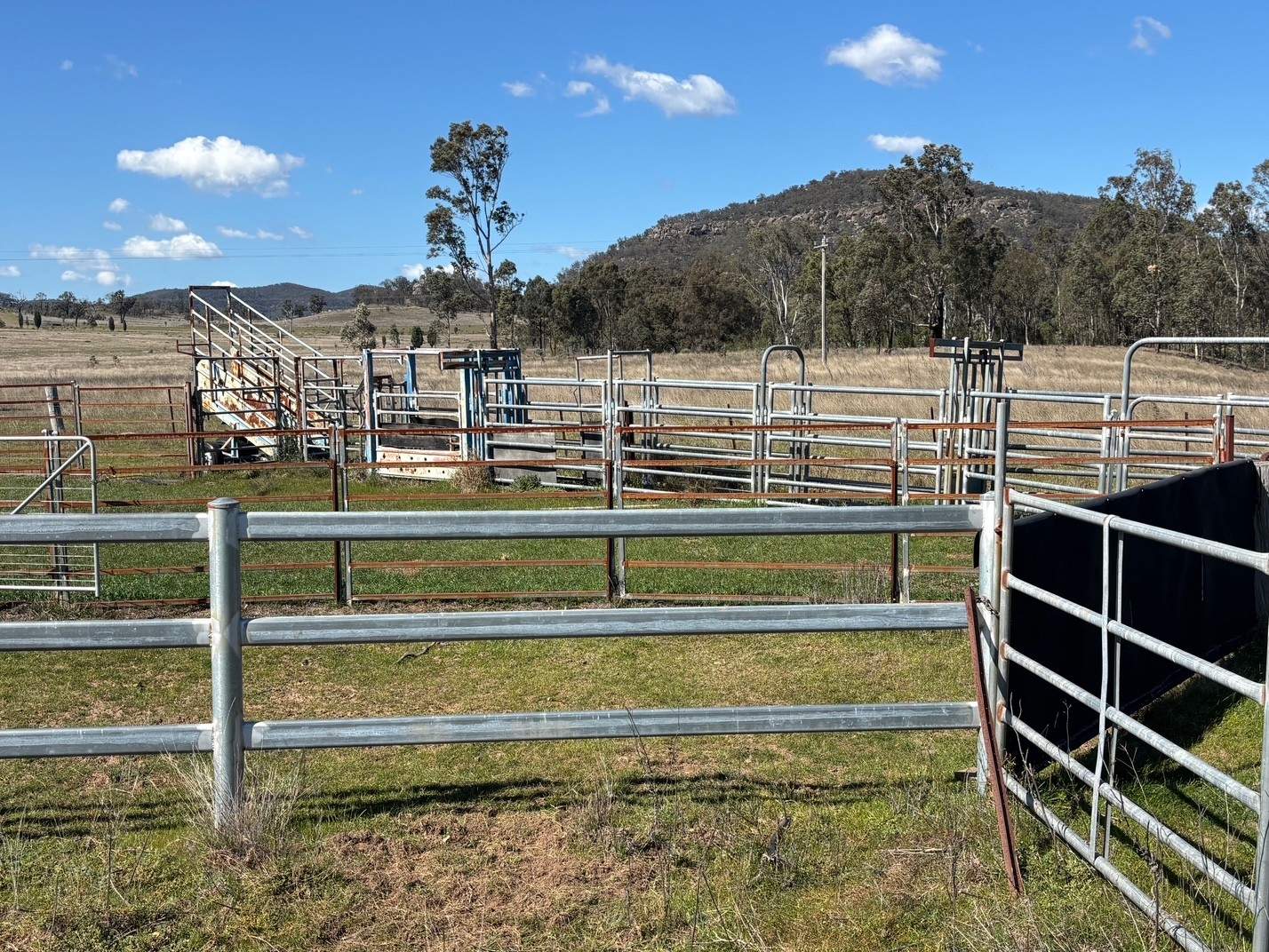560 Mt Dangar Road, Baerami For Sale by Farmbuy.com - image 7