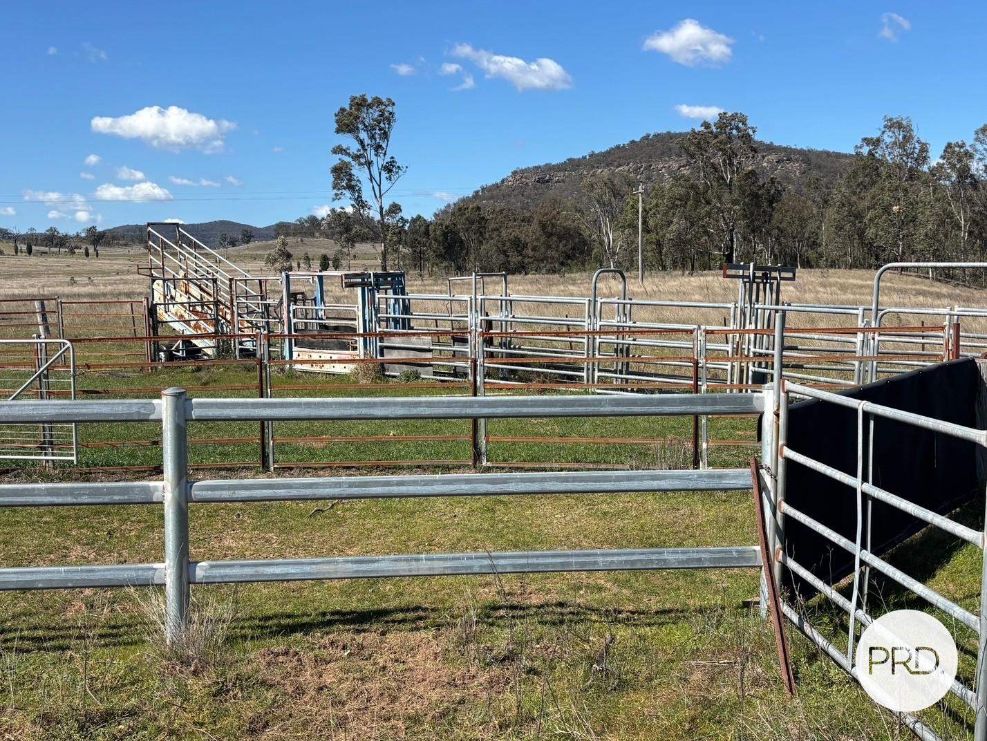 560 Mt Dangar Road, Baerami For Sale by Farmbuy.com - image 7
