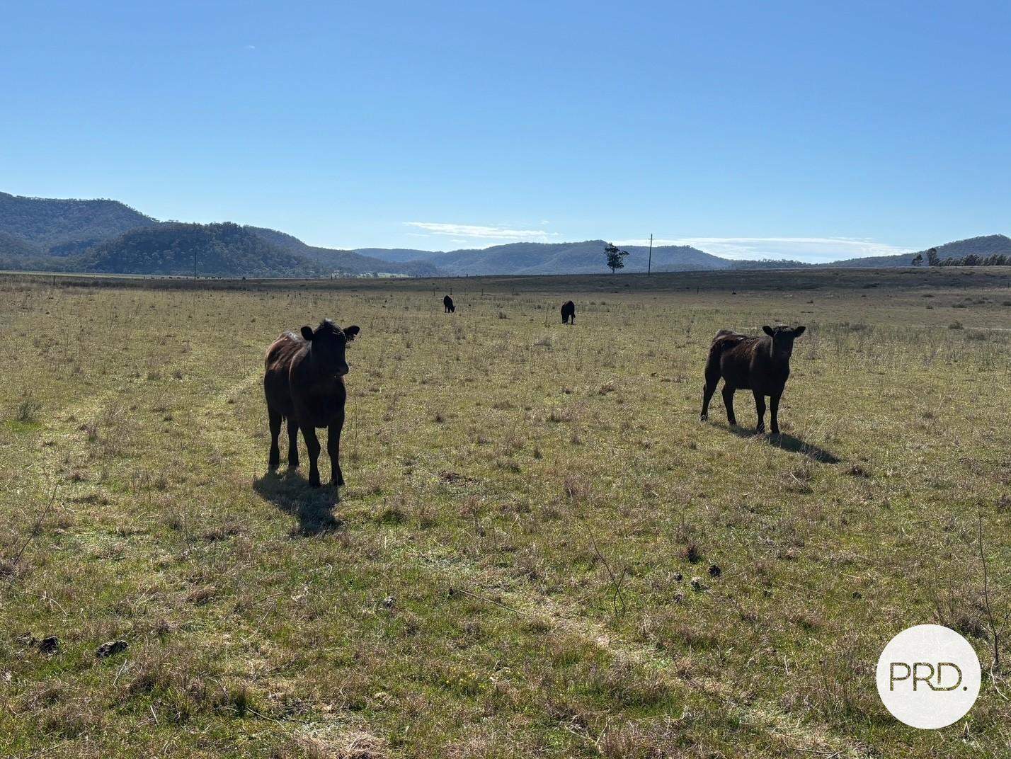 560 Mt Dangar Road, Baerami For Sale by Farmbuy.com - image 17