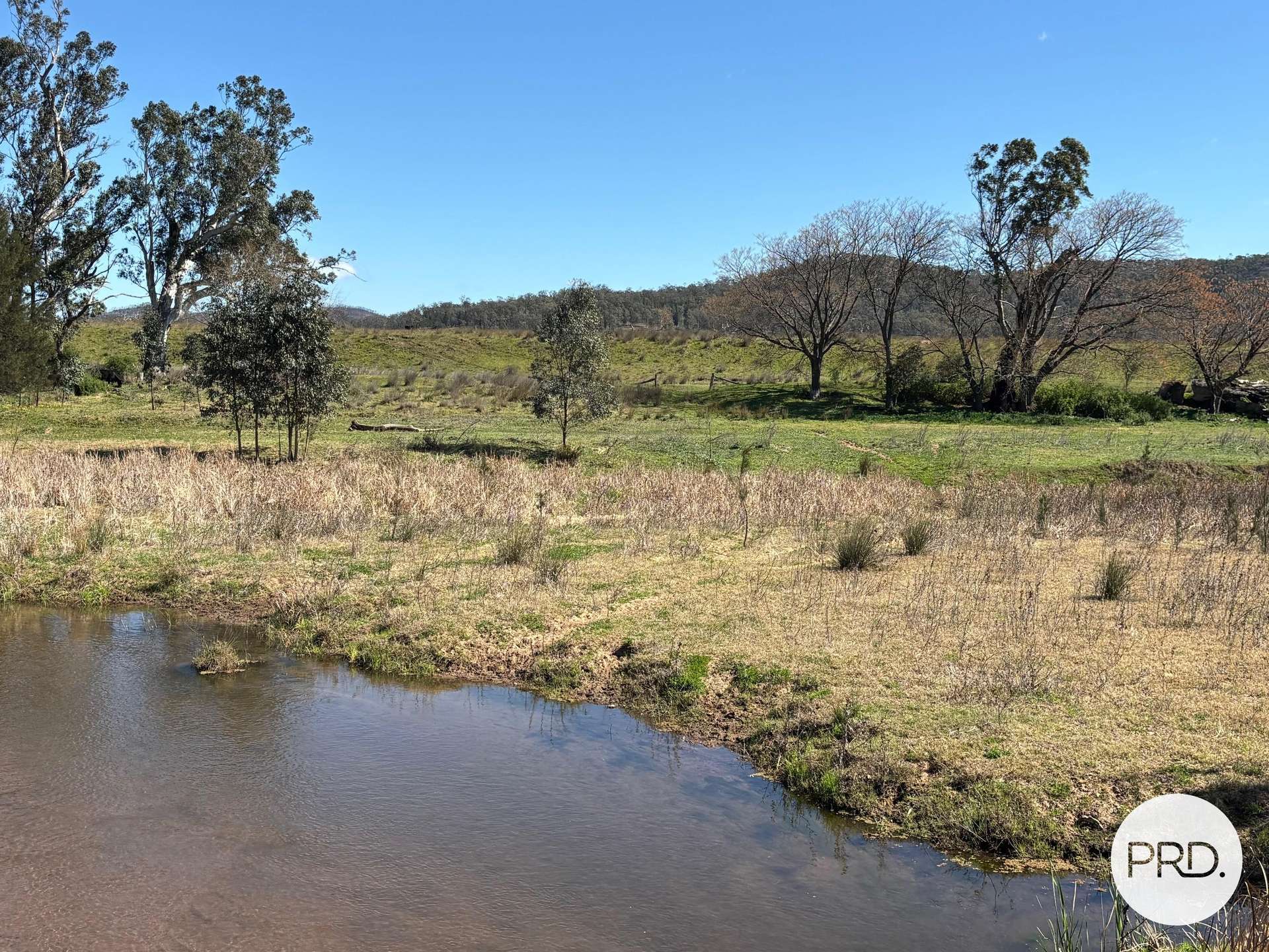 560 Mt Dangar Road, Baerami For Sale by Farmbuy.com - image 3