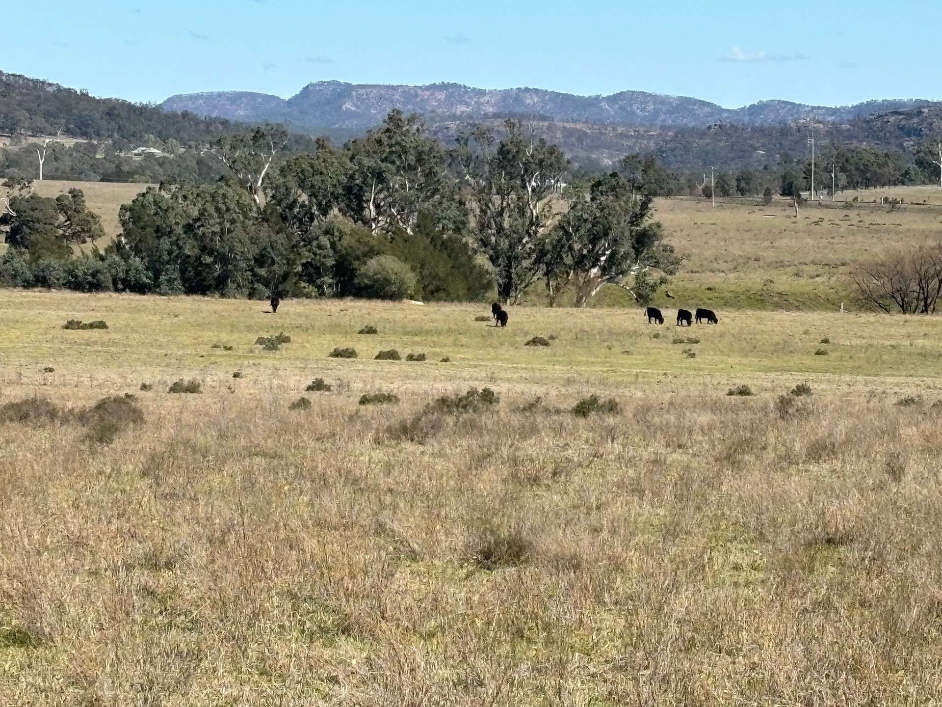 560 Mt Dangar Road, Baerami For Sale by Farmbuy.com - image 15