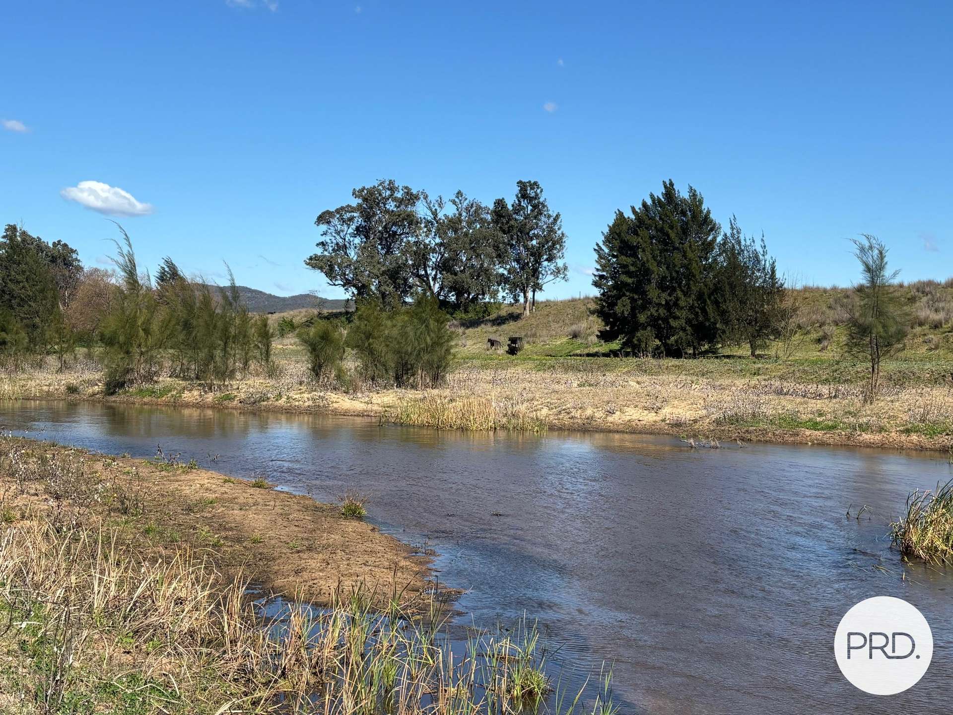 560 Mt Dangar Road, Baerami For Sale by Farmbuy.com - image 2