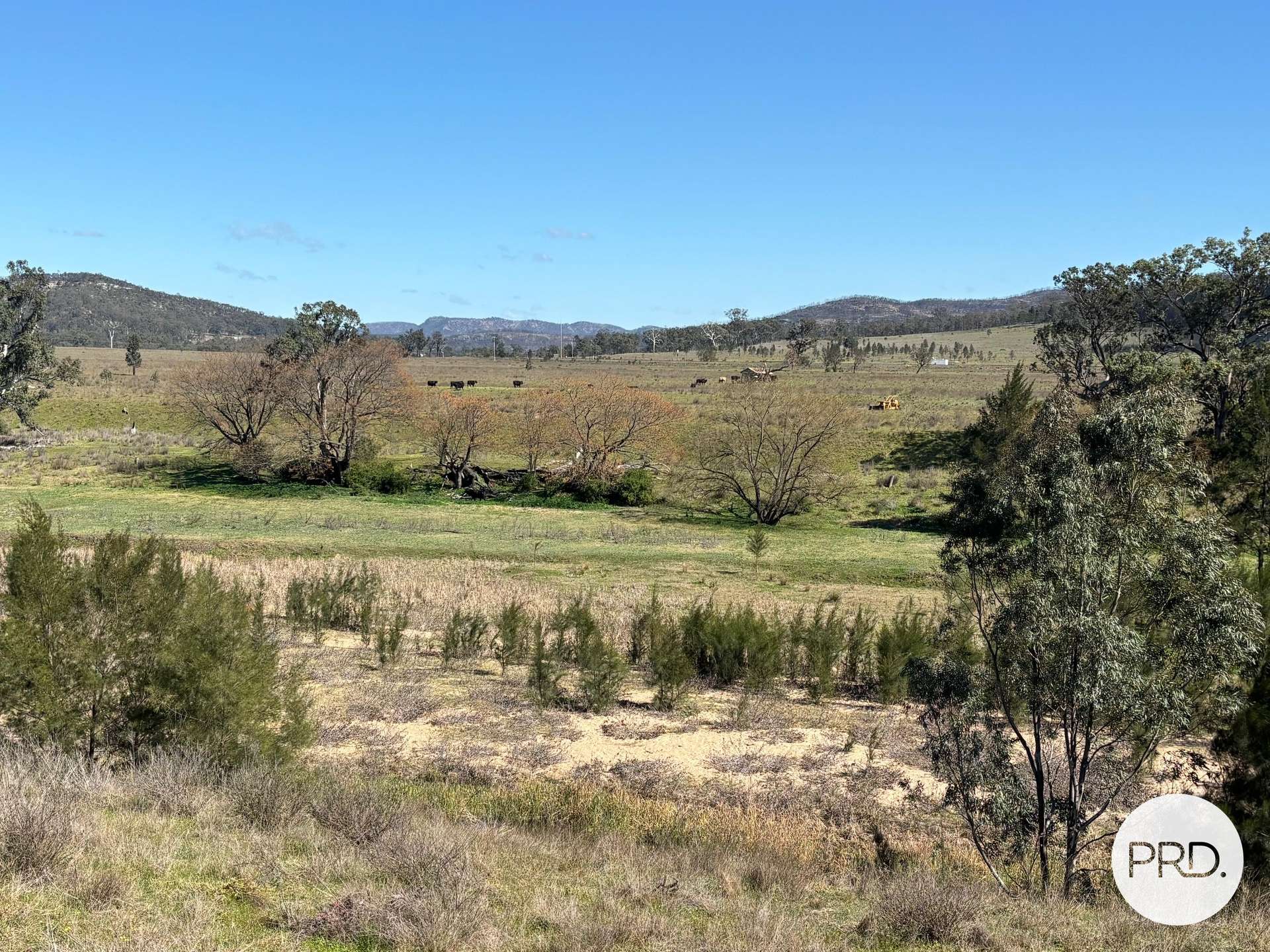 560 Mt Dangar Road, Baerami For Sale by Farmbuy.com - image 13