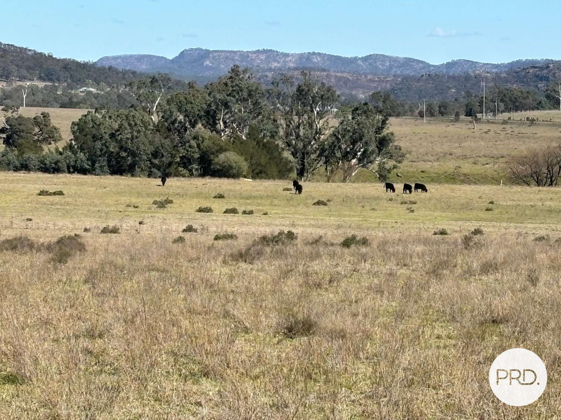 560 Mt Dangar Road, Baerami For Sale by Farmbuy.com - image 15
