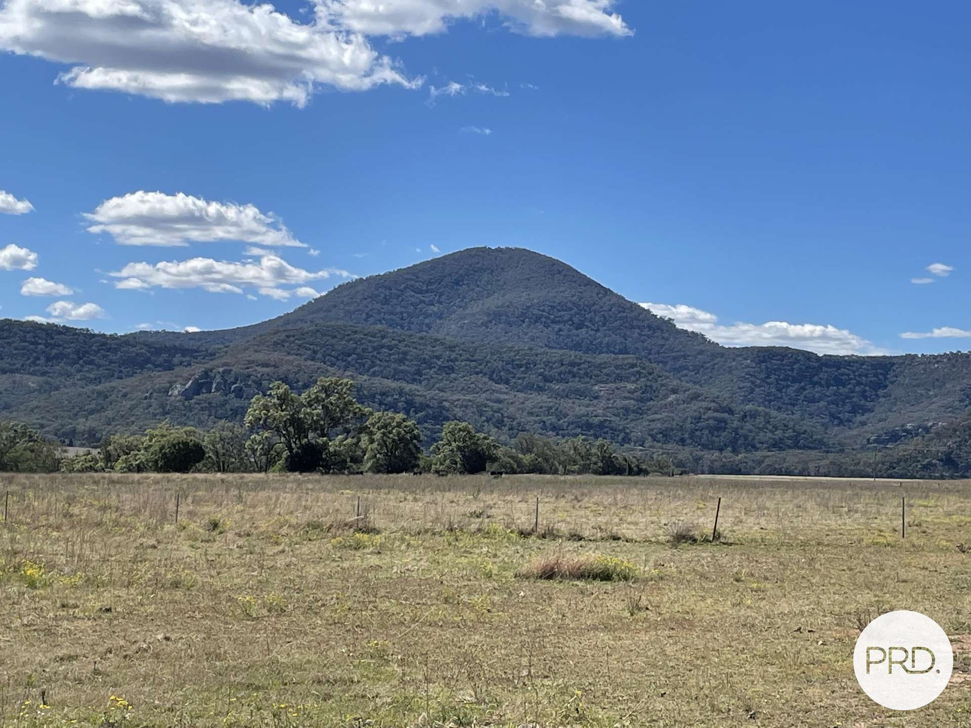 560 Mt Dangar Road, Baerami For Sale by Farmbuy.com - image 6