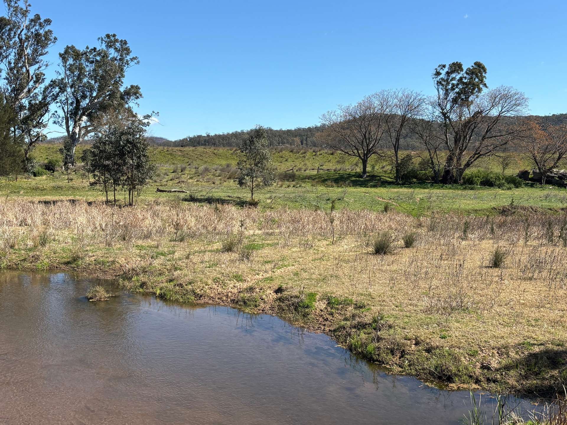 560 Mt Dangar Road, Baerami For Sale by Farmbuy.com - image 3