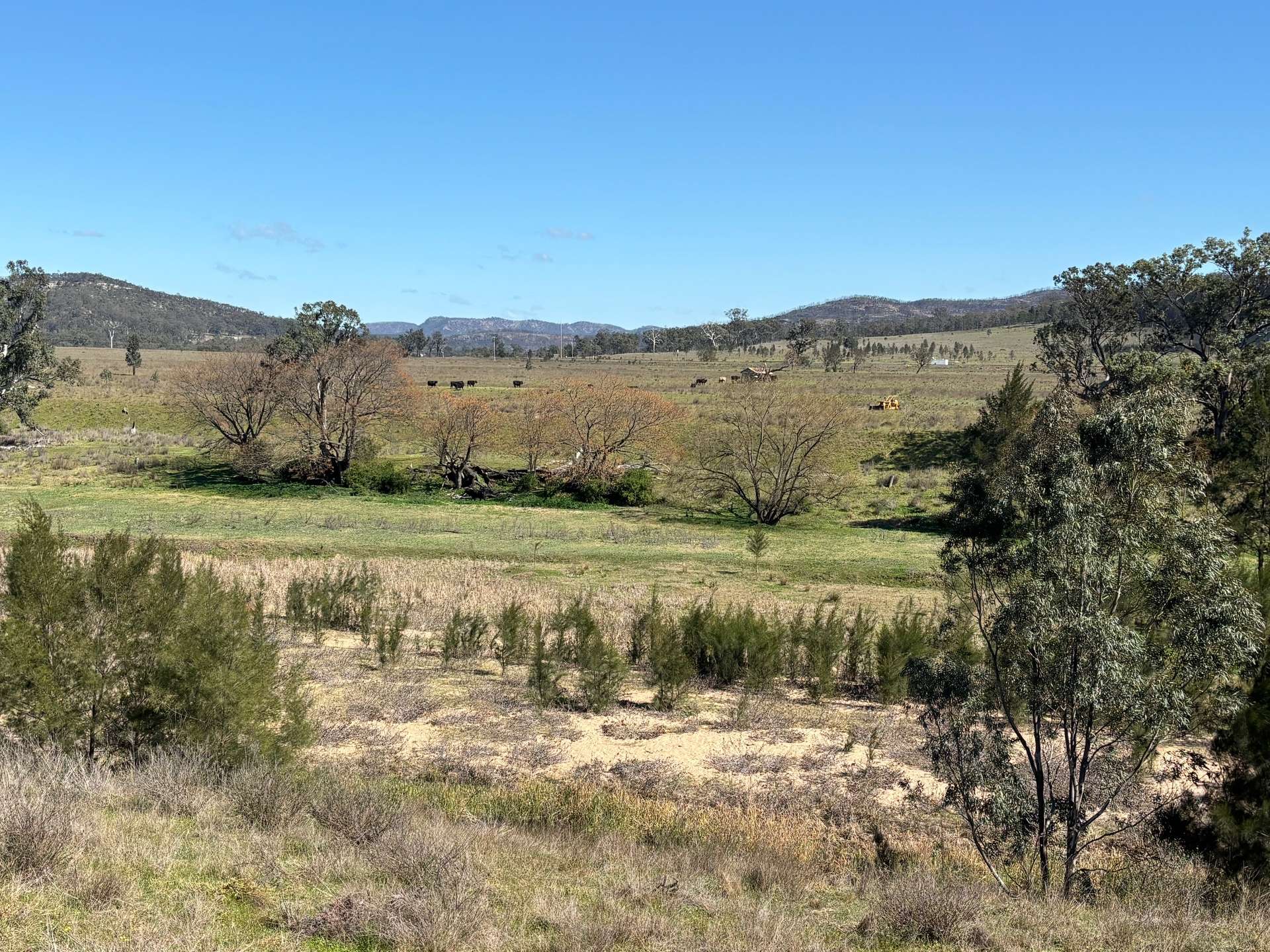 560 Mt Dangar Road, Baerami For Sale by Farmbuy.com - image 13