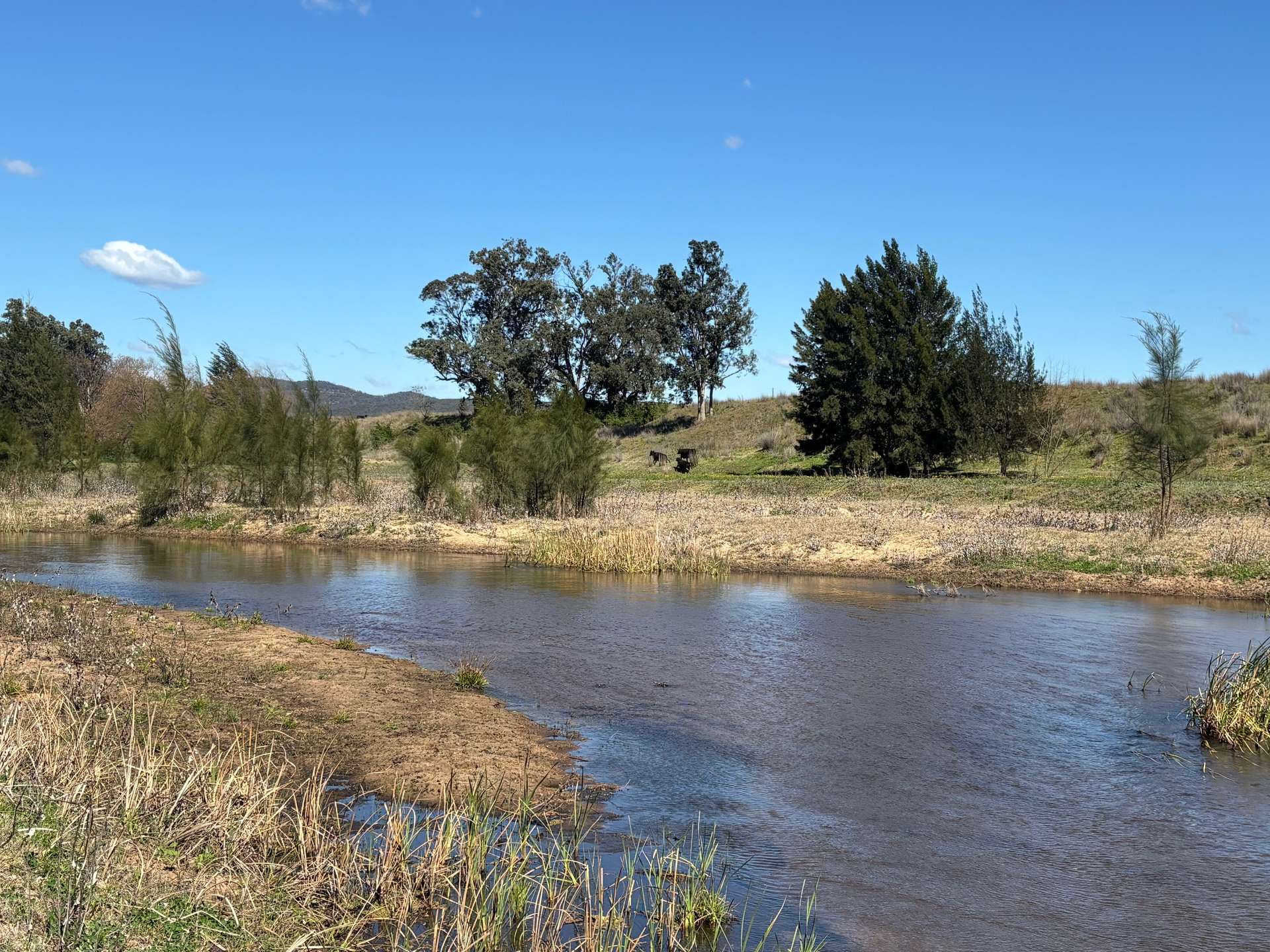 560 Mt Dangar Road, Baerami For Sale by Farmbuy.com - image 2