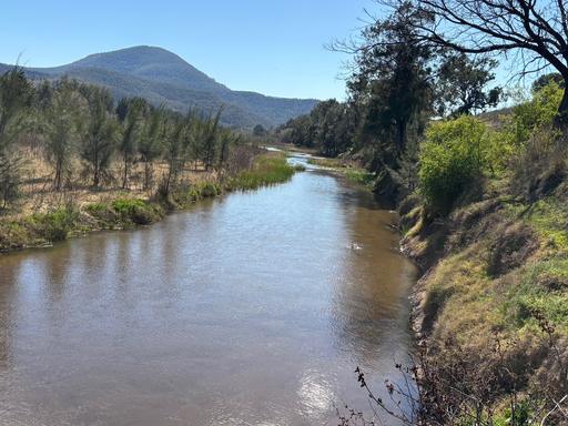 Farm For Sale - NSW - Baerami - 2333 - Build Your Dream on the Goulburn River 