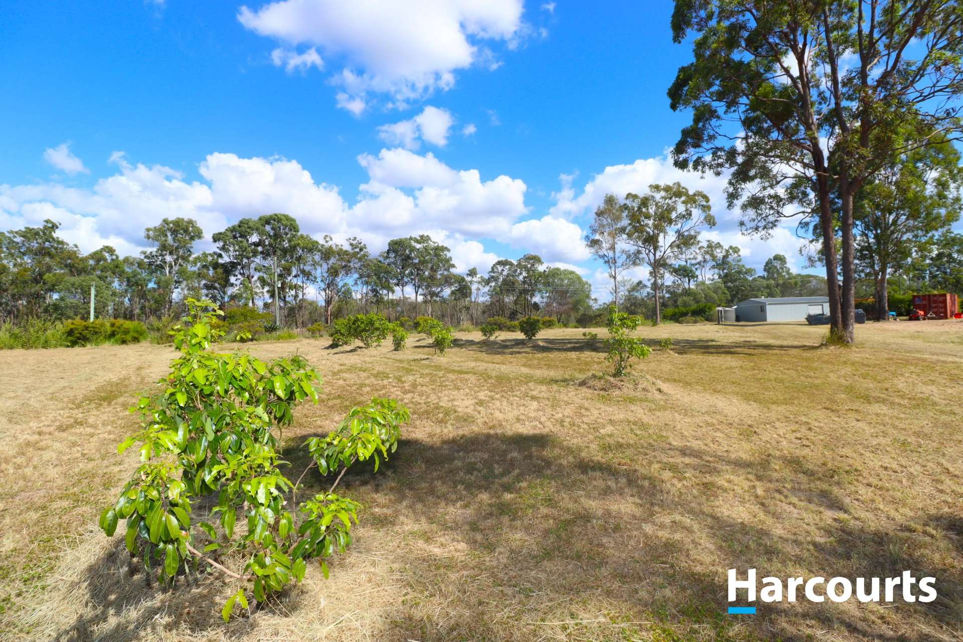 53 Peters Road, Redridge For Sale by Farmbuy.com - image 14