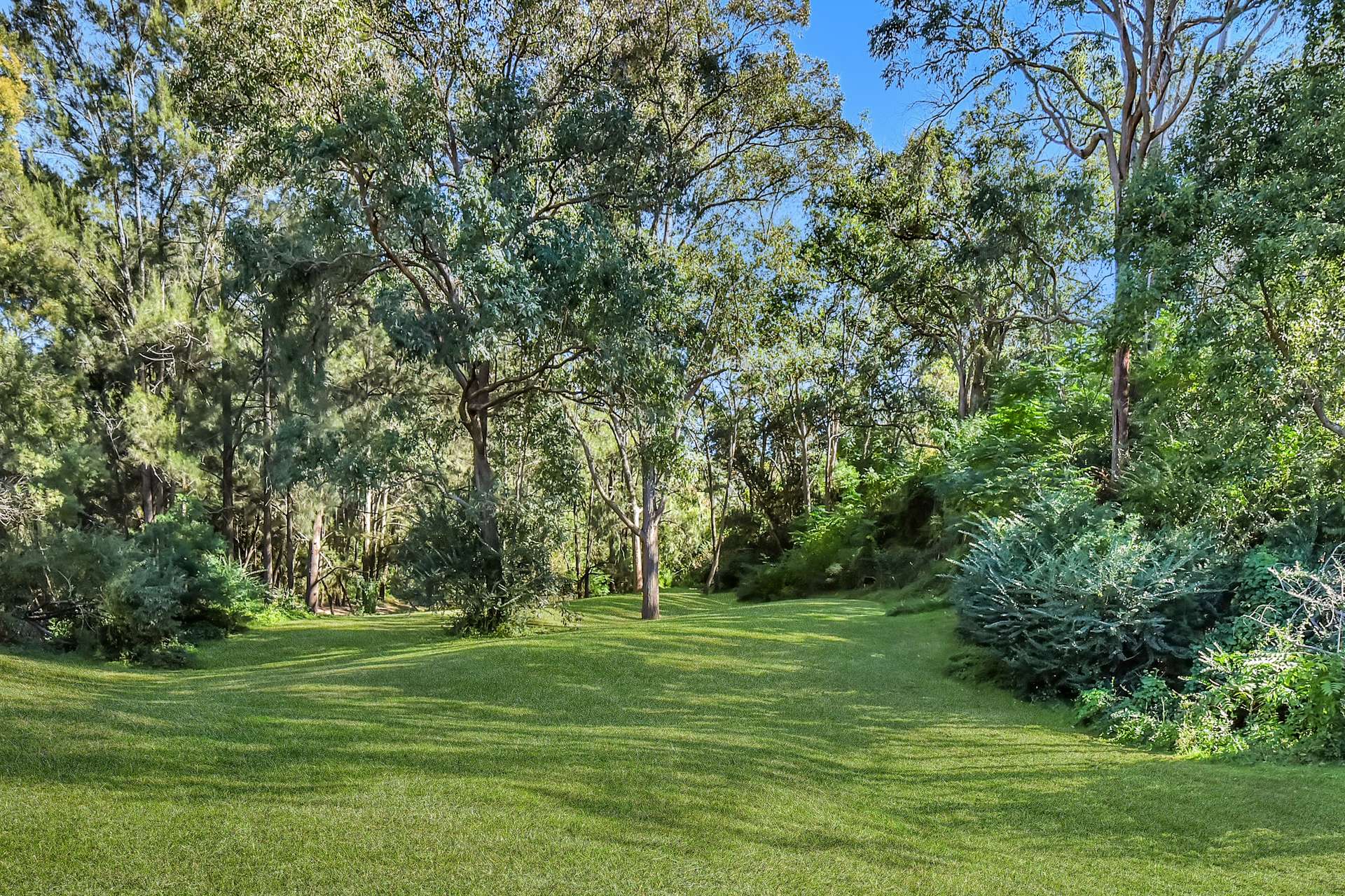 2882 Paynes Crossing Road, Wollombi For Sale by Farmbuy.com - image 28